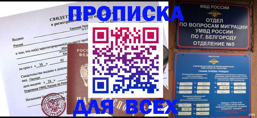 прописка поиск в Елизово